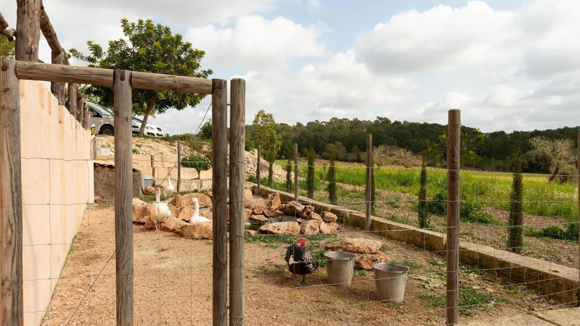 Eco Finca Can Alegria With Pool - Happy Rentals Llucmajor  Ισπανία